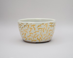 KINSAI POT / 金彩絵付鉢 (一点物)