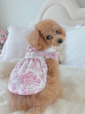 トワルドジュイ・ワンピース（襟付フリル・レッド）