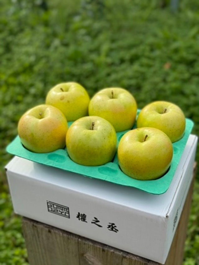 青りんご王林家庭用　2㎏