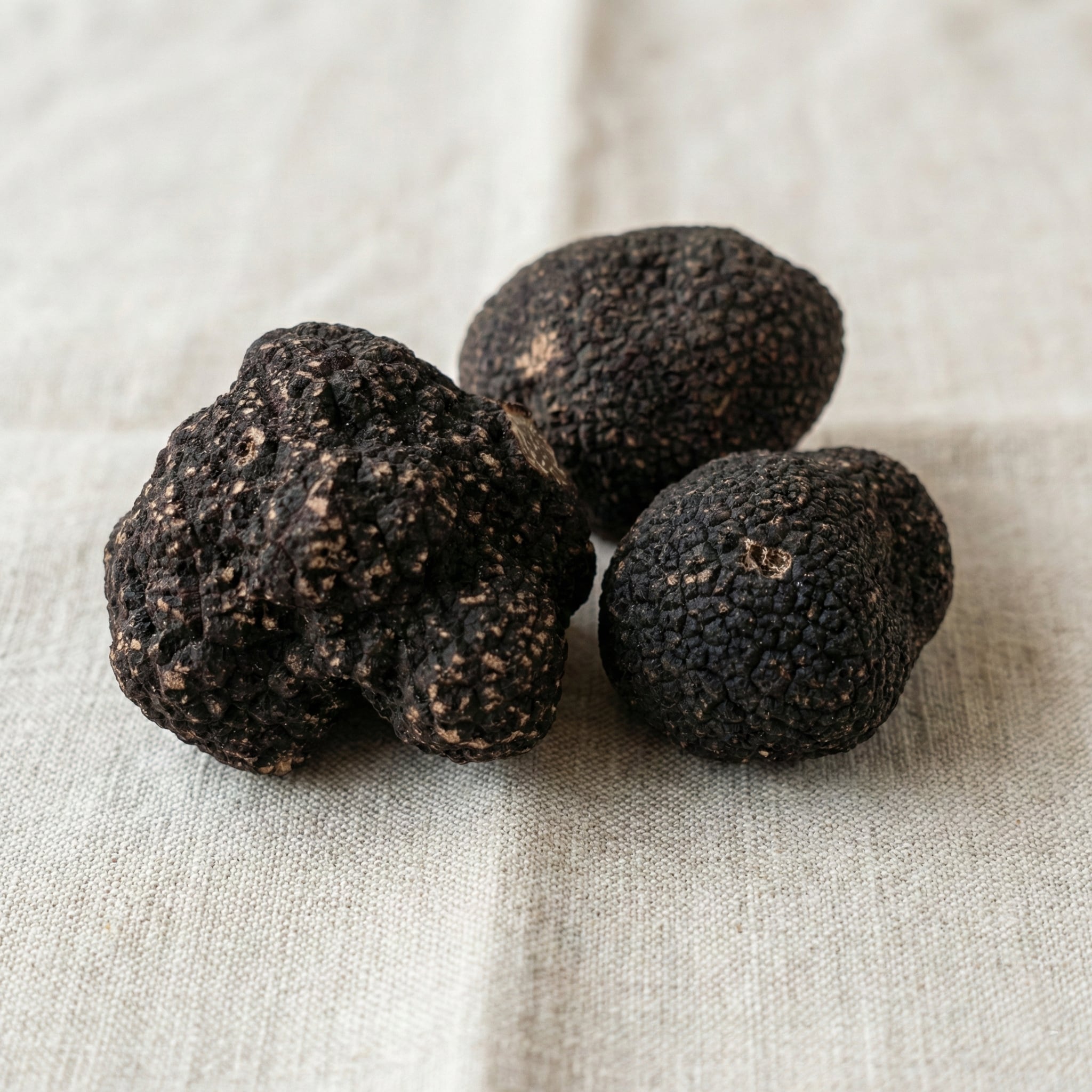 ウィンター黒トリュフ100gパック | FRESH TRUFFLE JAPAN ｜フレッシュ
