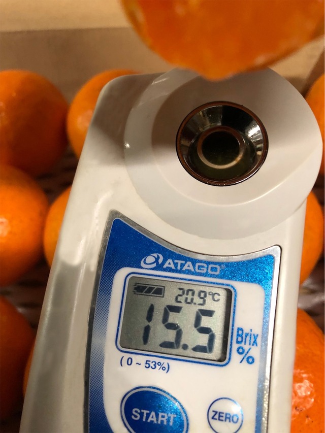 2025奇跡の糖度！有田みかん 【1.5kg】