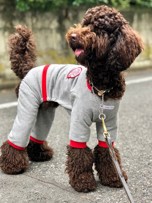 SPORTS Jumpsuits (Sサイズ）