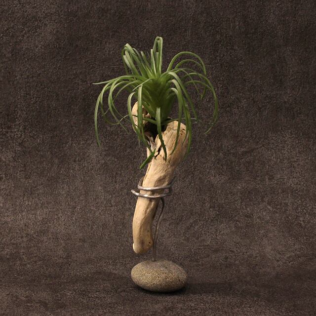 流木オブジェ 流木オブジェ