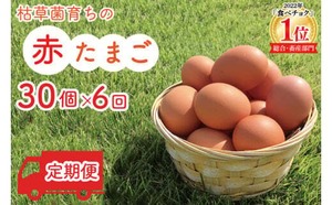 益子町　たまご　30個✕6