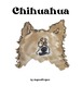 Chihuahua(チワワ)