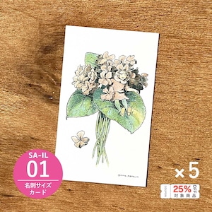 《バラ売り》メッセージカード「シグネ・アスペリーン/アジサイ(SA-IL01)」5枚セット