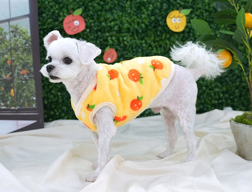 tangerine reversible vest S ~ 2XL 2color  /  犬服 秋冬 新作 リバーシブル ベスト アウター ふわふわ もこもこ 暖かい 可愛い 犬の服 トップス お揃い ドッグウェア シンプル