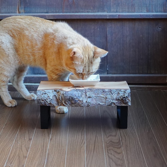 林檎の一枚板テーブル 　ディスプレイ用に  ＜送料無料＞