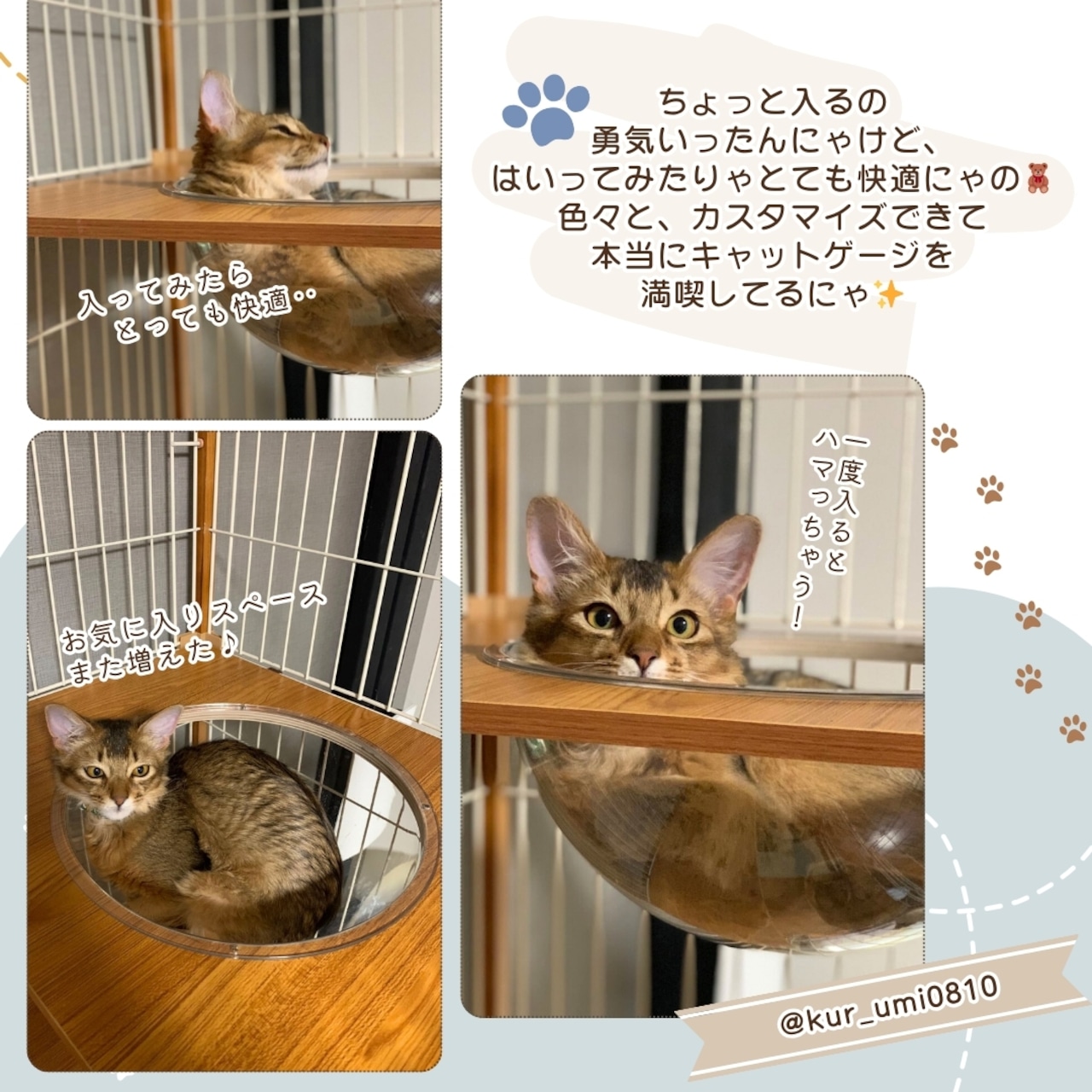 【ienekoケージオプション(ねこの惑星)】ボウルとステップ台が一体型で安定感が抜群です!