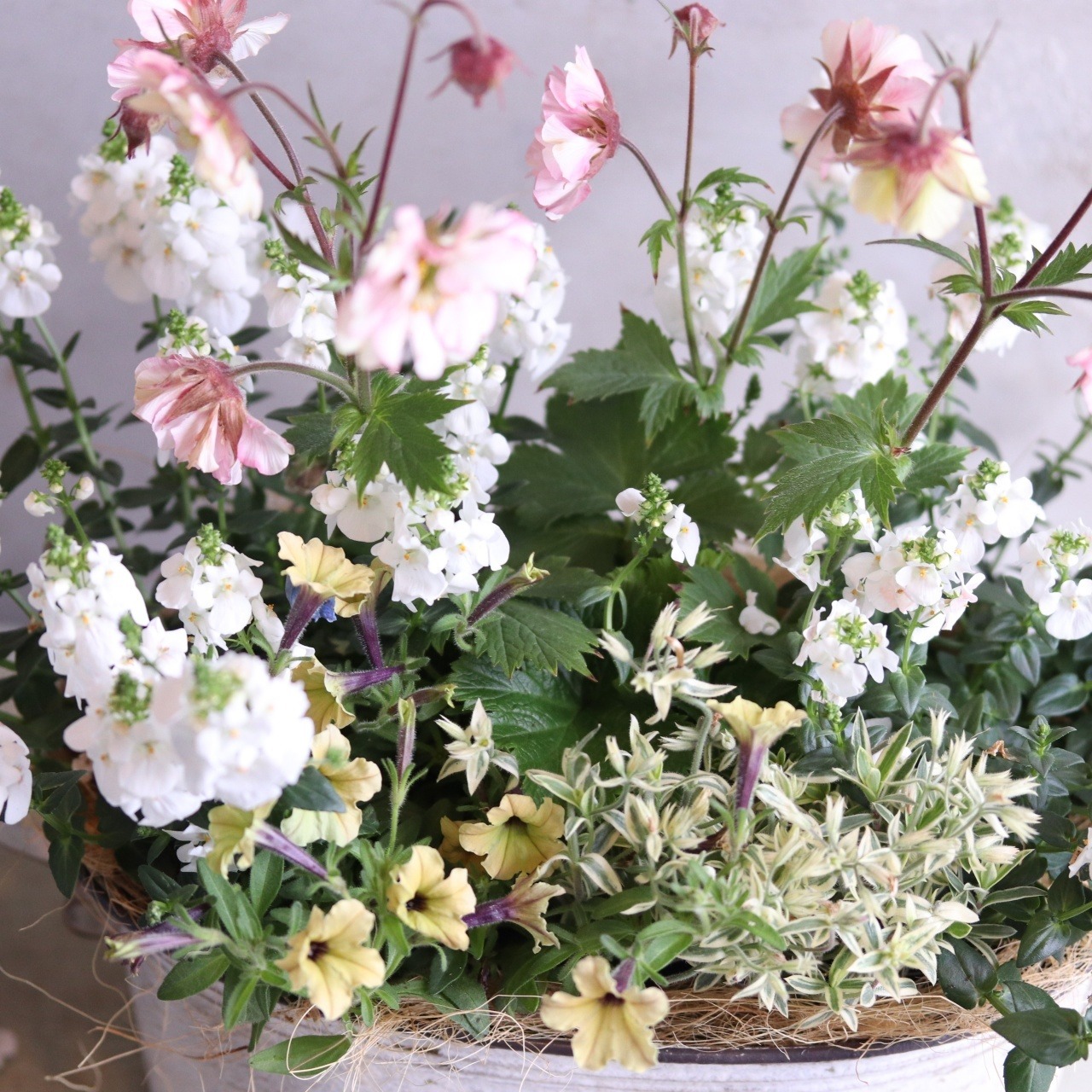 モンディマンシェ 寄せ植え｜ゲウム ピーチ＆ホワイト 春のナチュラルアレンジ｜届いてすぐ飾れる完成品｜玄関インテリア｜新築・開店・退職祝いギフト