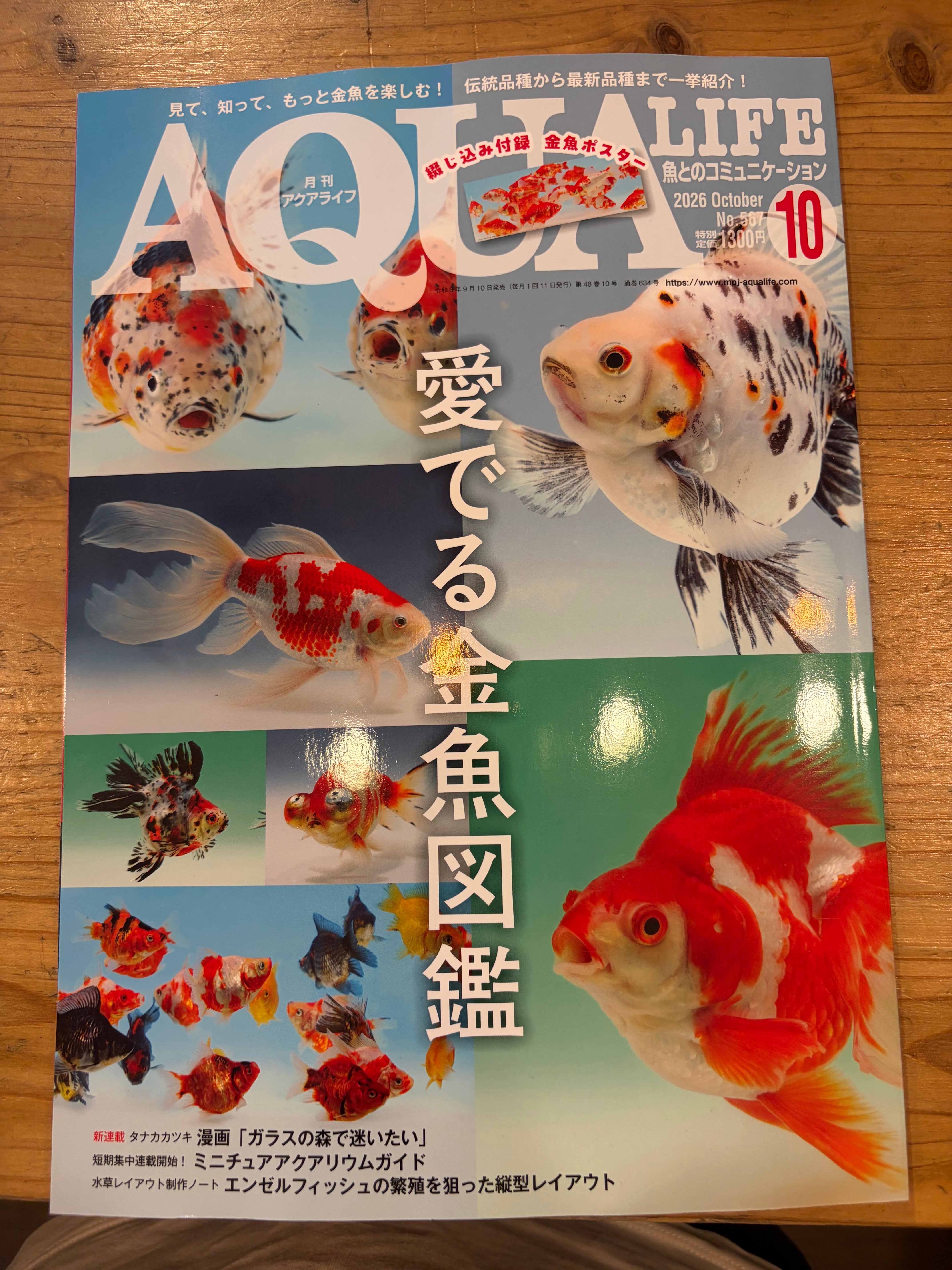 アクアリウム 最新 超図鑑3000種 | aquarium shop earth
