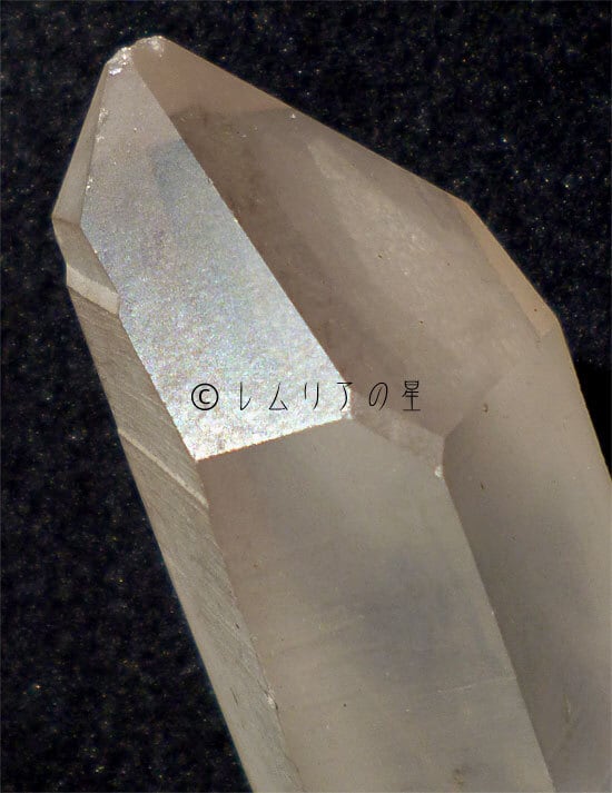 レムリアンシード レムリアンシード・ダブルタイムリンク・トライゴーニック・レコード