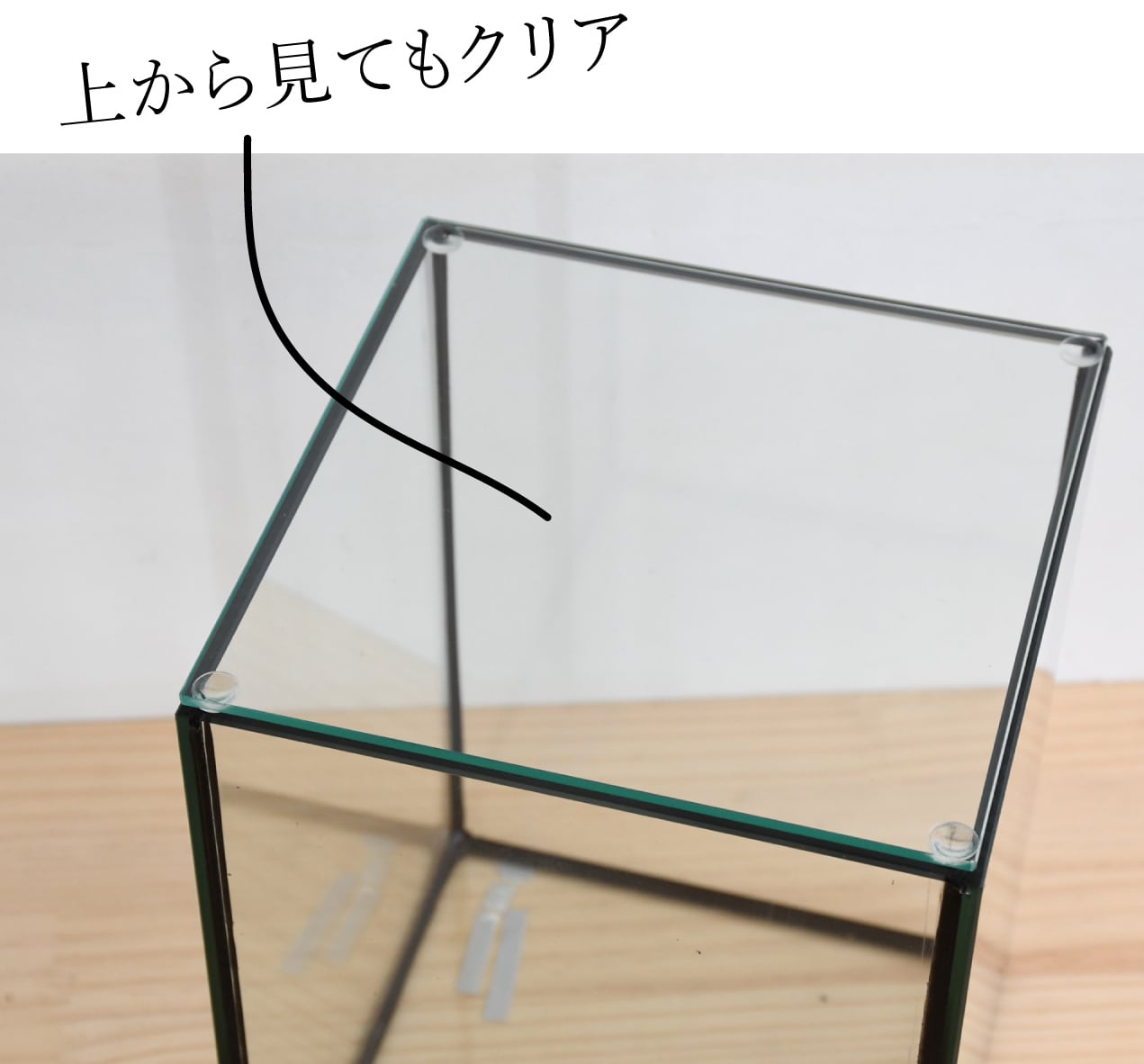 ガラス容器・選べる2種類】 苔テラリウム用 15cmガラス水槽