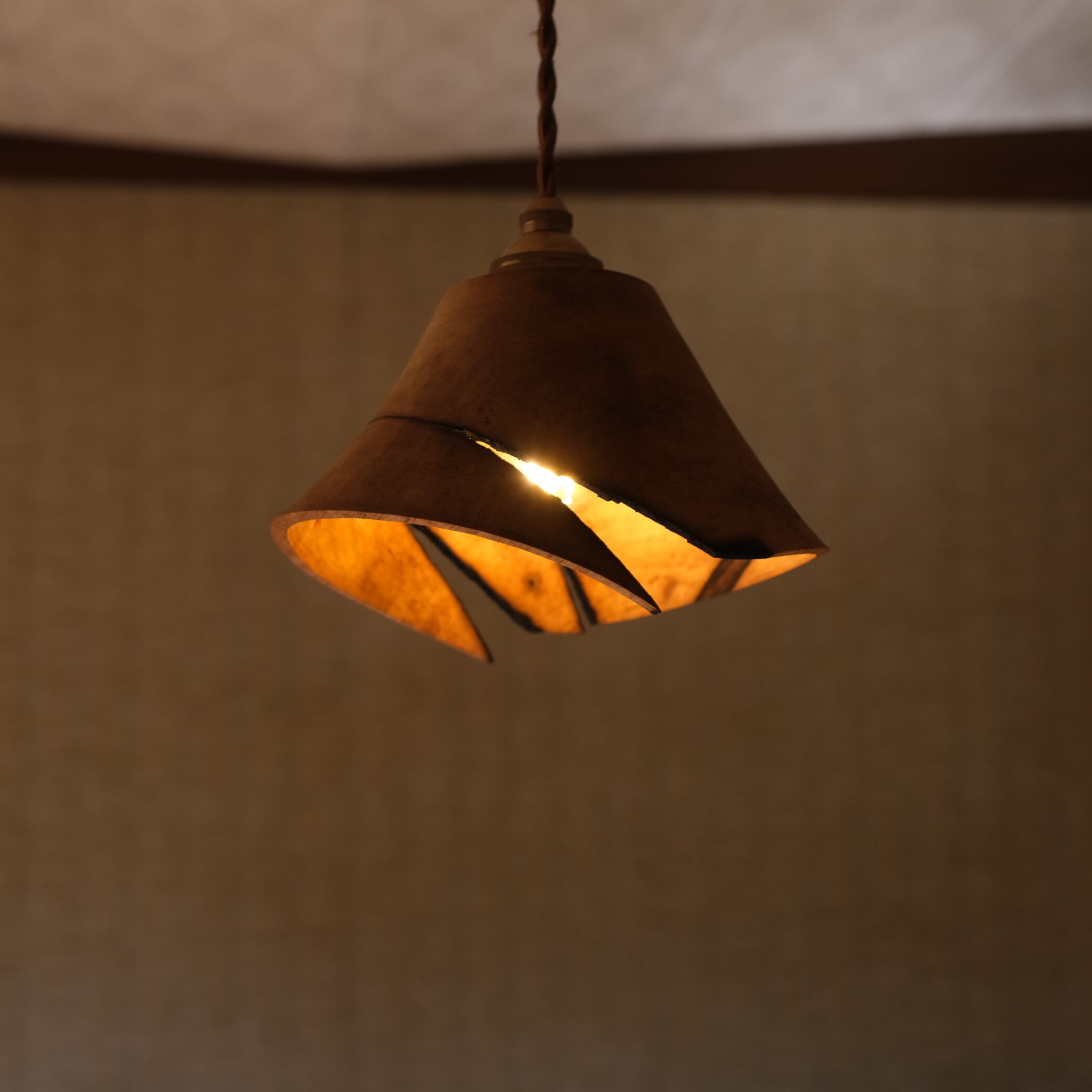 クロガキ/lamp shade