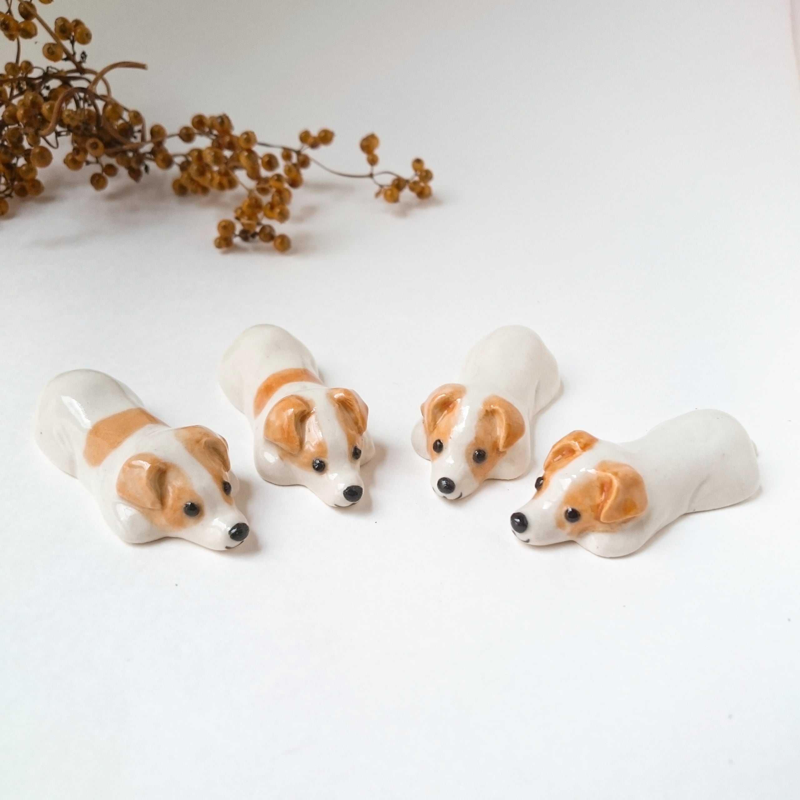 表情をたくさん並べて見比べると、犬の気持ちってはっきり表情に出るんだなぁ、って改めて思います🤭💦 面白いですね😊👍 ・  皆さまにとって、素敵な一日になりますように。 ・ ・ ・ ・ ・ #ジャックラッセルテリア #ジャックラッセル #ジャックラッセルテリア部 ..., image size:2560x2560