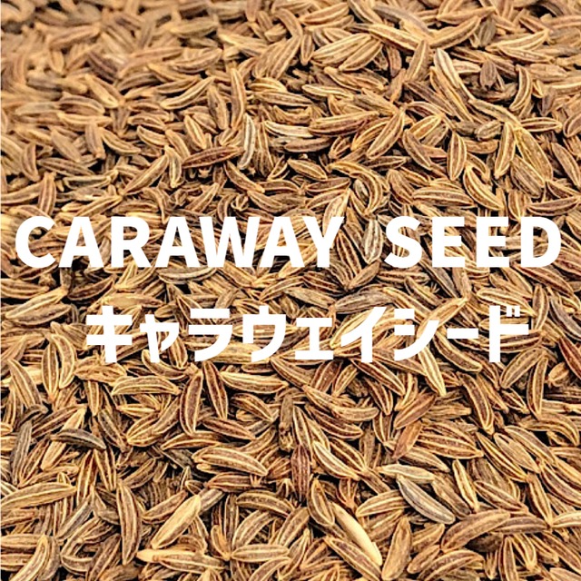 【100g】キャラウェイシード CARAWAY SEED Caraway Seed  【シードタイプ 】【スパイス 香辛料 調味料 薬膳 料理 味付け 乾燥 ドライ】【nature ナチュール】