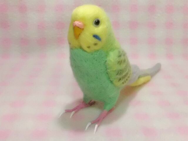 受注作成品】 セキセイインコ パステルグリーンオパーリン リアル