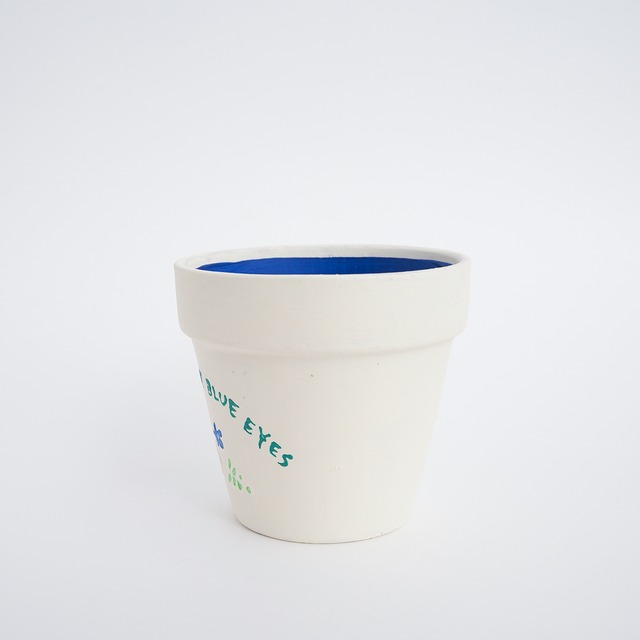 【うららかフラワーシリーズ】　ネモフィラ