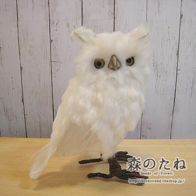デコアニマル 白ミミズク 大 森のたね