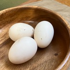 チャボの卵（単品） [UZ-004]
