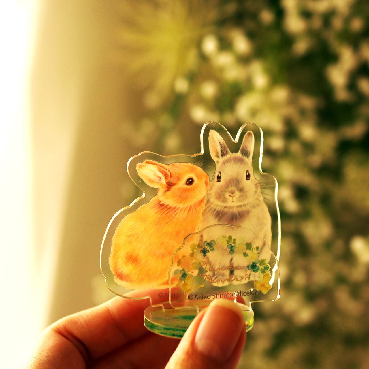 新品未使用　アクリルスタンド　うさぎ なんで なんで？アクリルスタンド | Alicekan STORE