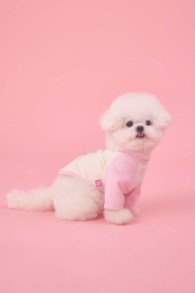 〈予約アイテム〉PEBBLES / MIU RAGLAN TEE Tシャツ