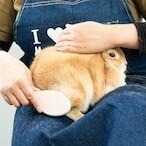 第22回プログルーミング講座