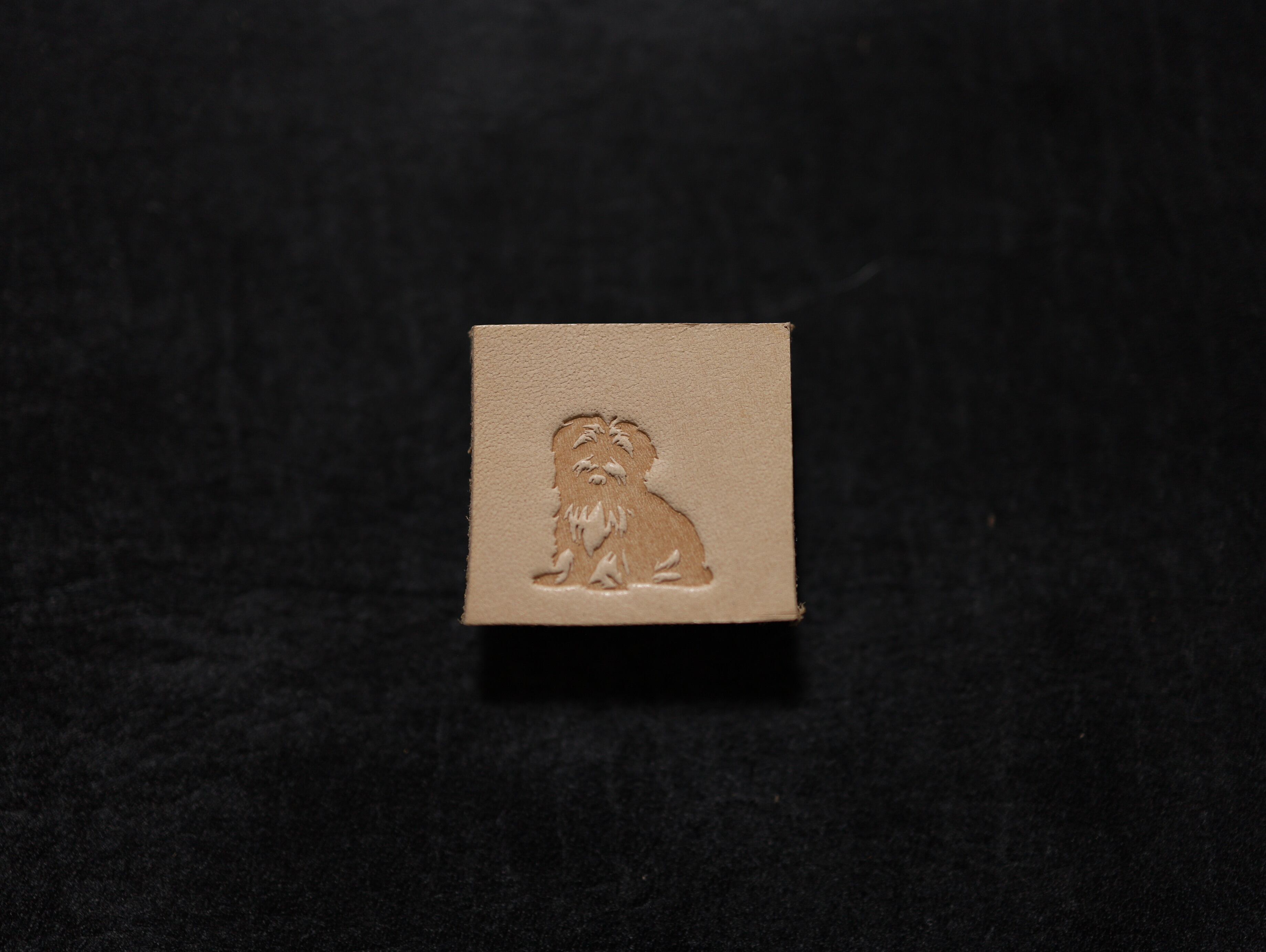 【アクリル刻印】マルチーズ　犬　レザークラフト用