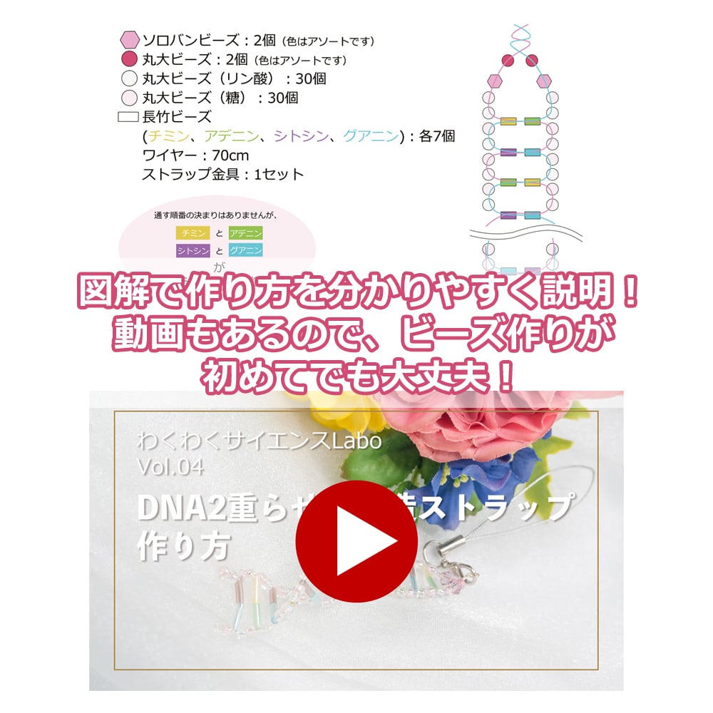 わくわくサイエンスLabo vol.04 DNAストラップ | neoshop