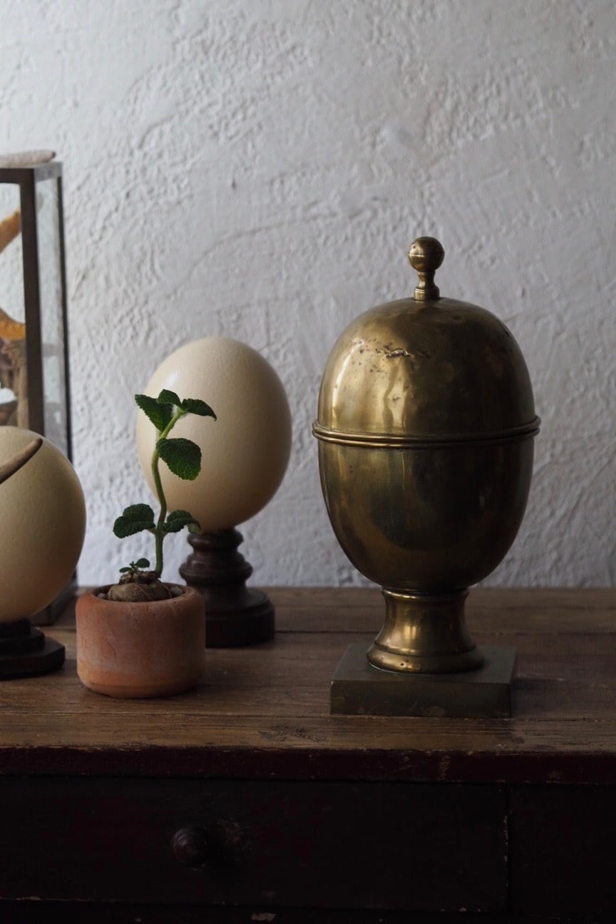 アンティークファーマシーポット-antique pharmacy & apothecary pot