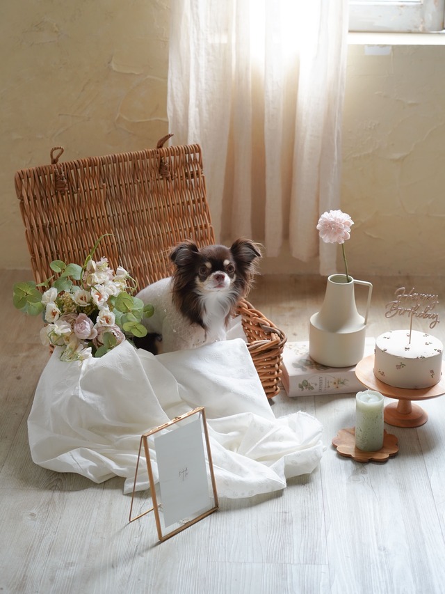 〈レンタル〉BASKET