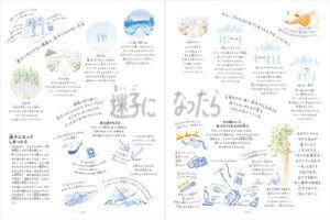 未知なる冒険の書 自然に学び、地球で遊ぶ 336の知恵 自然科学絵本