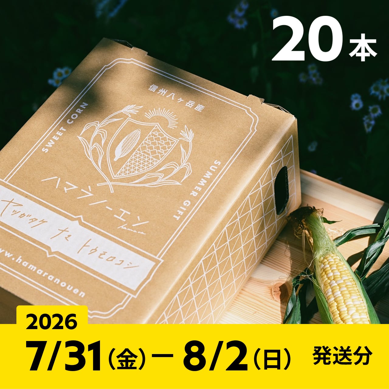 2026【通常予約／20本】八ヶ岳生とうもろこし／ギフトボックス入り／7