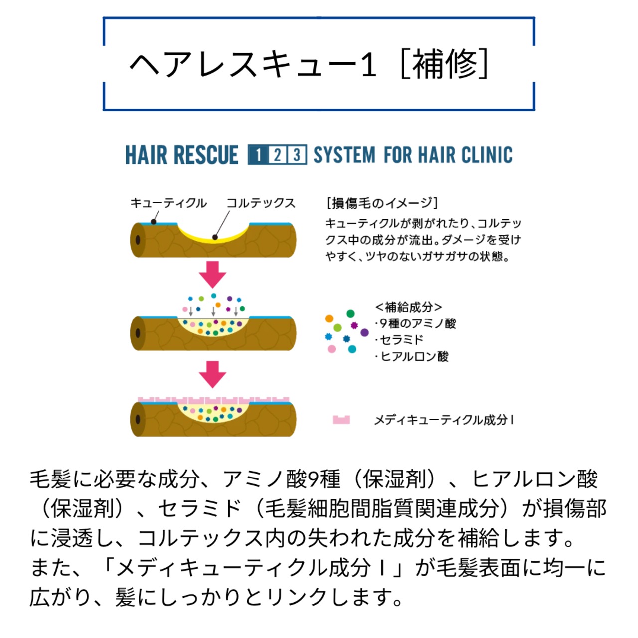 タマリス ヘアレスキュー クリニックシステム|人毛ウィッグ スペシャルトリートメントセット 集中補修・保湿ケア プロ用サロン品質