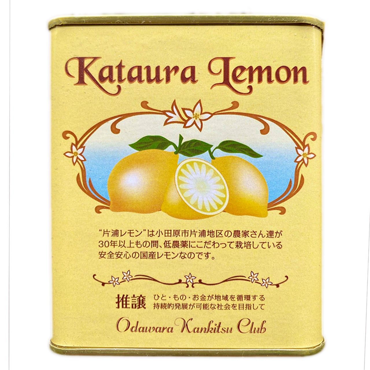 小田原 片浦のレモン 無農薬　国産　2㎏以上