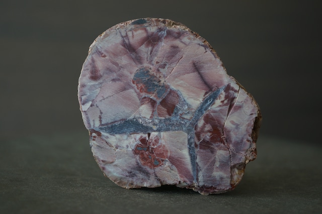 コールドマウンテン・サンダーエッグ Cold Mountain Thunderegg 2365