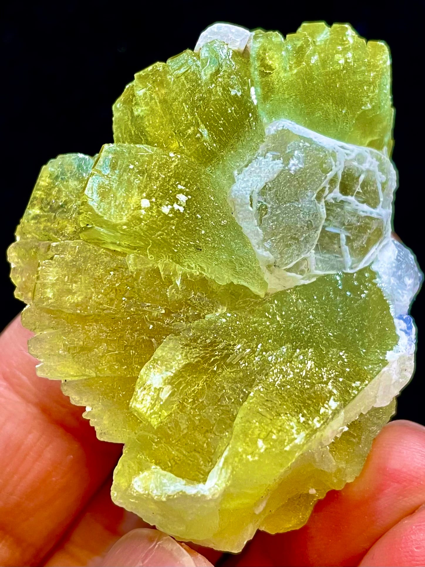 4) タンザニア産「ゴールデン・プレナイト&タンザナイト」原石