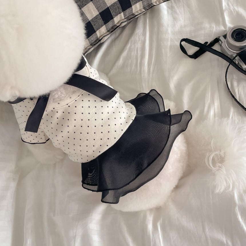 ハンドメイド犬服　ぽてたまドット❤エレガントワンピース ハンドメイド犬服 ぽてたまドット❤エレガントワンピース ハンドメイド