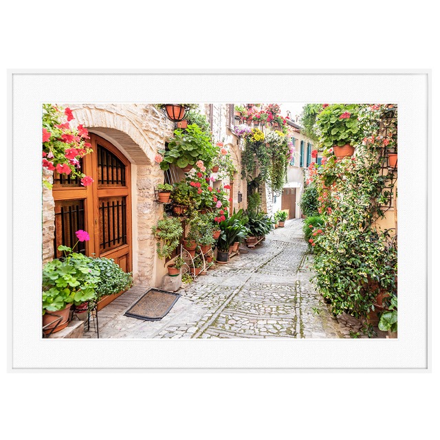 花写真 イタリア ウンブリア州スペッロ村 通り沿いの花  インテリアアートポスター額装 AS3020