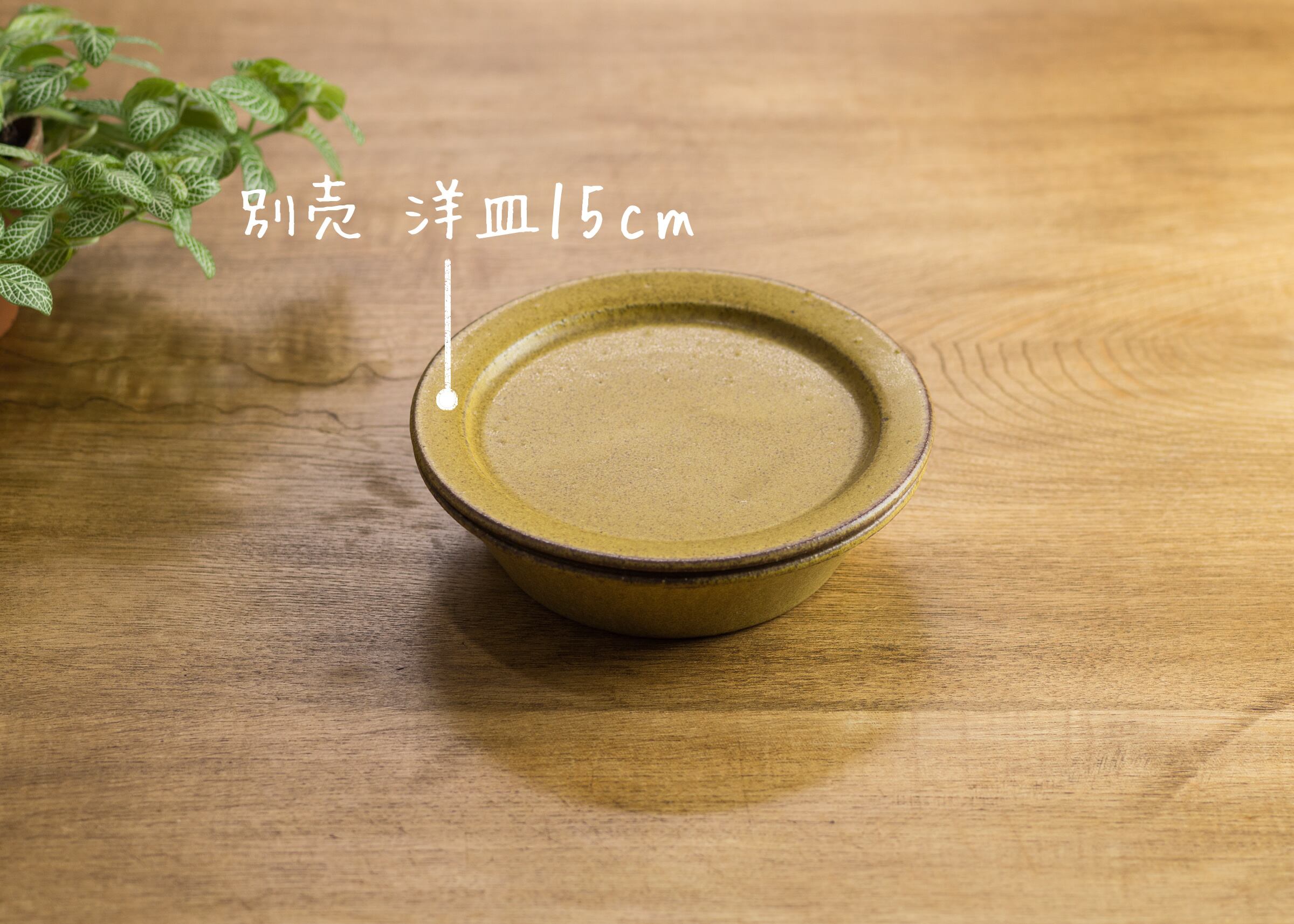 SHIROUMA 浅鉢 15cm 芥子色（シリアルボウル・グラタン皿・耐熱皿