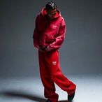OG SMALL LOGO PIGMENT ZIP HOODIE