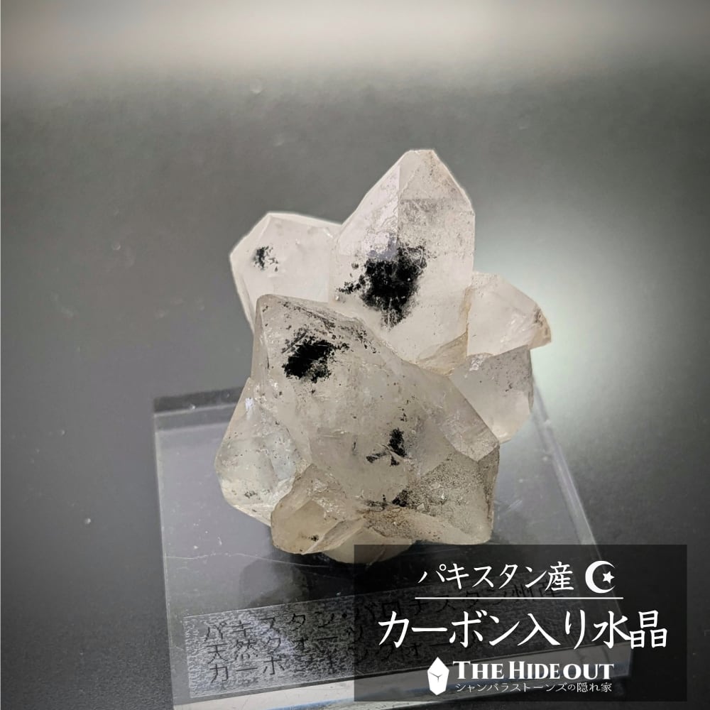 過去品アウトレット/B級品セール003 パキスタン産カーボンインクォーツ原石 重なり合ったDT結晶にブラック&ホワイトのコントラスト
