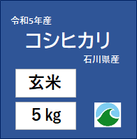 みどりの波　5㎏　石川県産　新米）【玄米】コシヒカリ　令和5年産