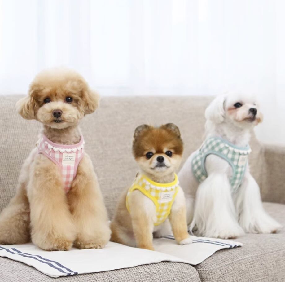 ドッグ 犬 中型犬 小型犬 フレブル チワワ パグ ヨークシャテリア Mダックス ヨークシャー ドッグウェア 室内着 ベスト タンクトップ チョッキ リード タイト スリム 細身 ストレート かわいい シンプル カジュアル レトロ ラフ 個性的 ラブリー キュート ガーリー チェック ギンガムチェック 春 夏 ロングシーズン 男の子 女の子 成犬 子ども デート お出かけ アウトドア キャンプ リゾート 旅行 海 プール 公園 休日 バカンス ガーデン ショッピング 朝 散歩 ウォーキング クライミング