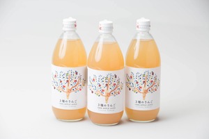 【送料込】完熟くだものジュース（3種のりんご）600ml×3本入【東北・関東・北信越・中部・関西 送料無料】