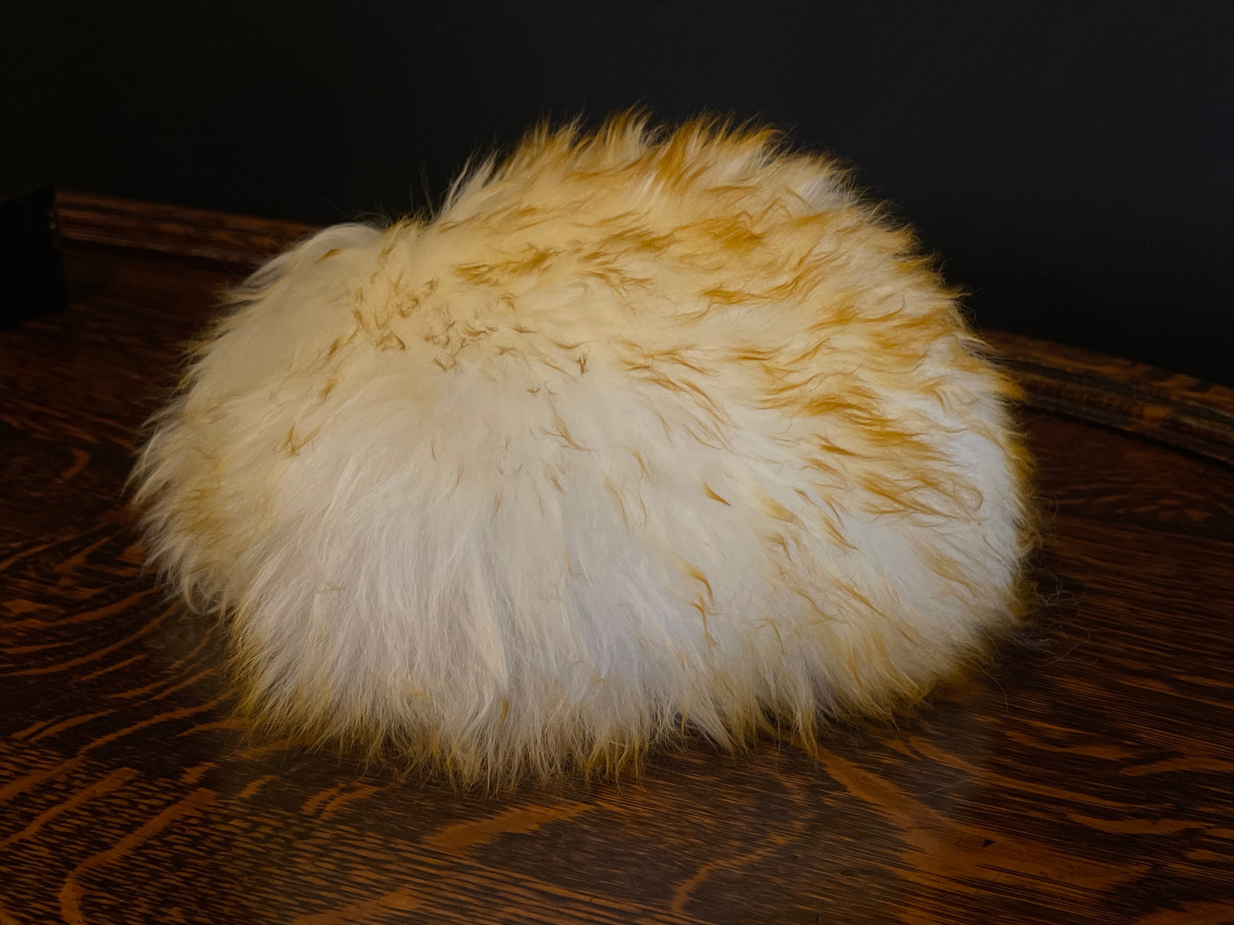 江川蘭子 | wax&arts 江川蘭子 | wax&arts