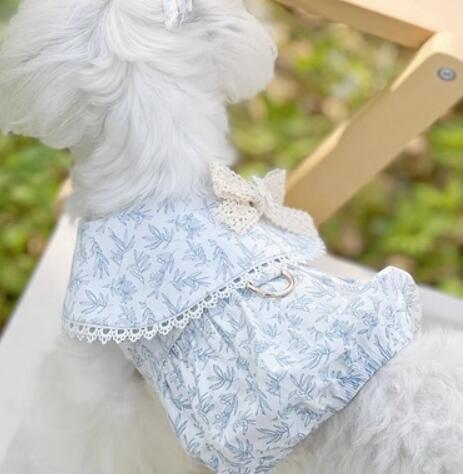 《予約》2101177 爽やかフラワーラペルトップス