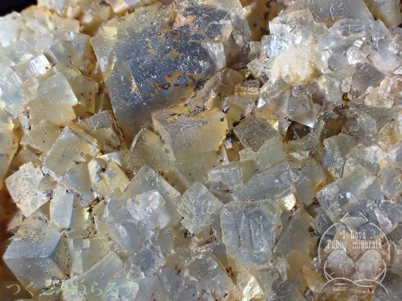 フローライト 蛍石 ドイツ TM-034 | つぐこみねらるず ｜鉱物・原石