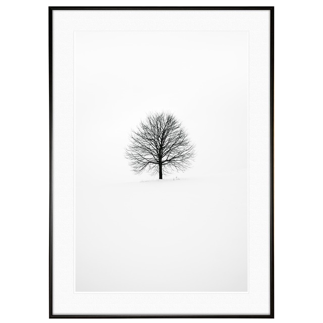 冬写真 インテリア モノクロアートポスター額装 AS0977