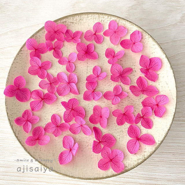 あじさい　花びら【国産　アナベル・フューシャピンク　40枚】あじさいのお福分け　　 ＜ アジサイ 紫陽花 ＞